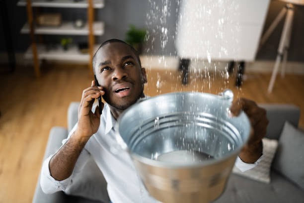 Best Water damage restoration near me  in Lockhart, FL