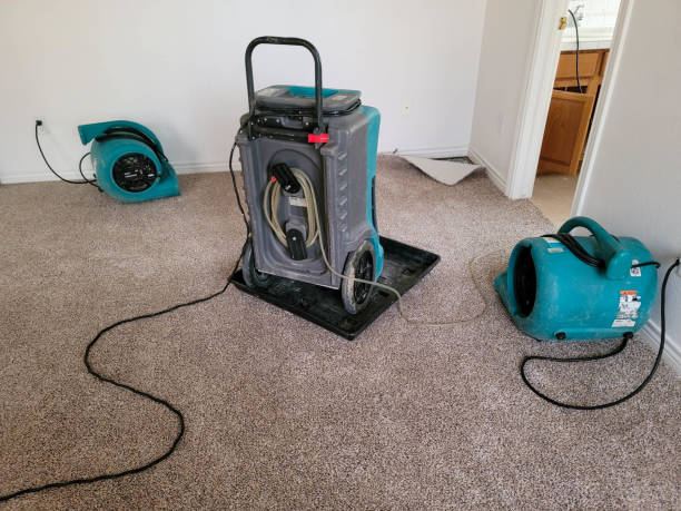 Best 24-hour water damage restoration  in Lockhart, FL
