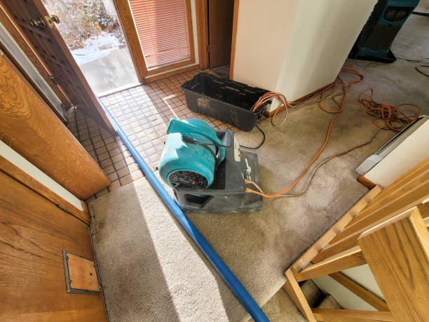 Best Flood restoration services  in Lockhart, FL