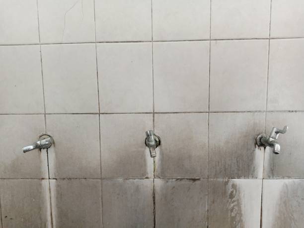Best 24/7 water damage repair  in Lockhart, FL