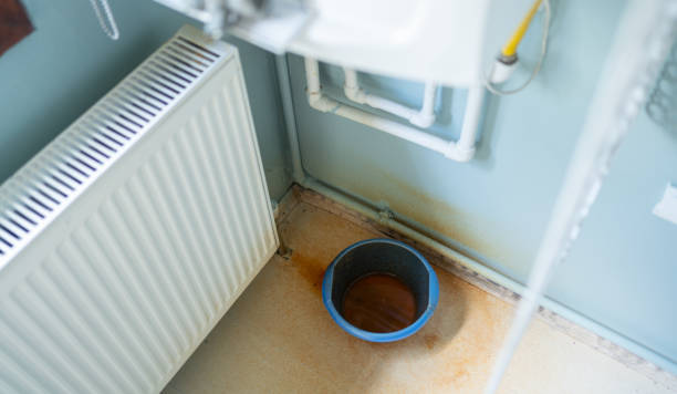 Best Ceiling water damage repair  in Lockhart, FL