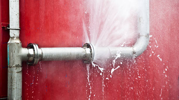Best Water damage cleanup near me  in Lockhart, FL