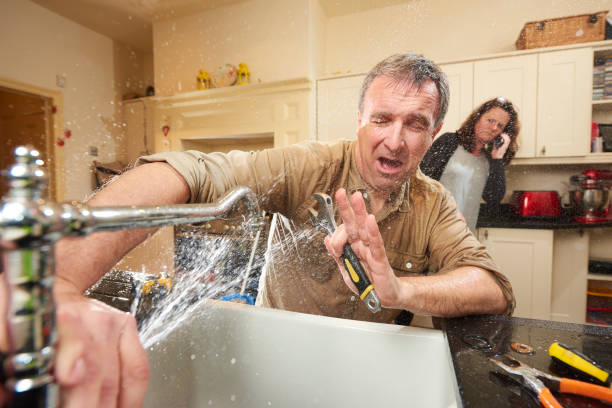 Best Basement water damage restoration  in Lockhart, FL